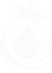 Logo SoPAV GUINÉE